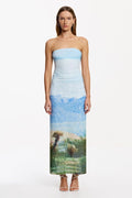 Different View Strapless Maxi Dress