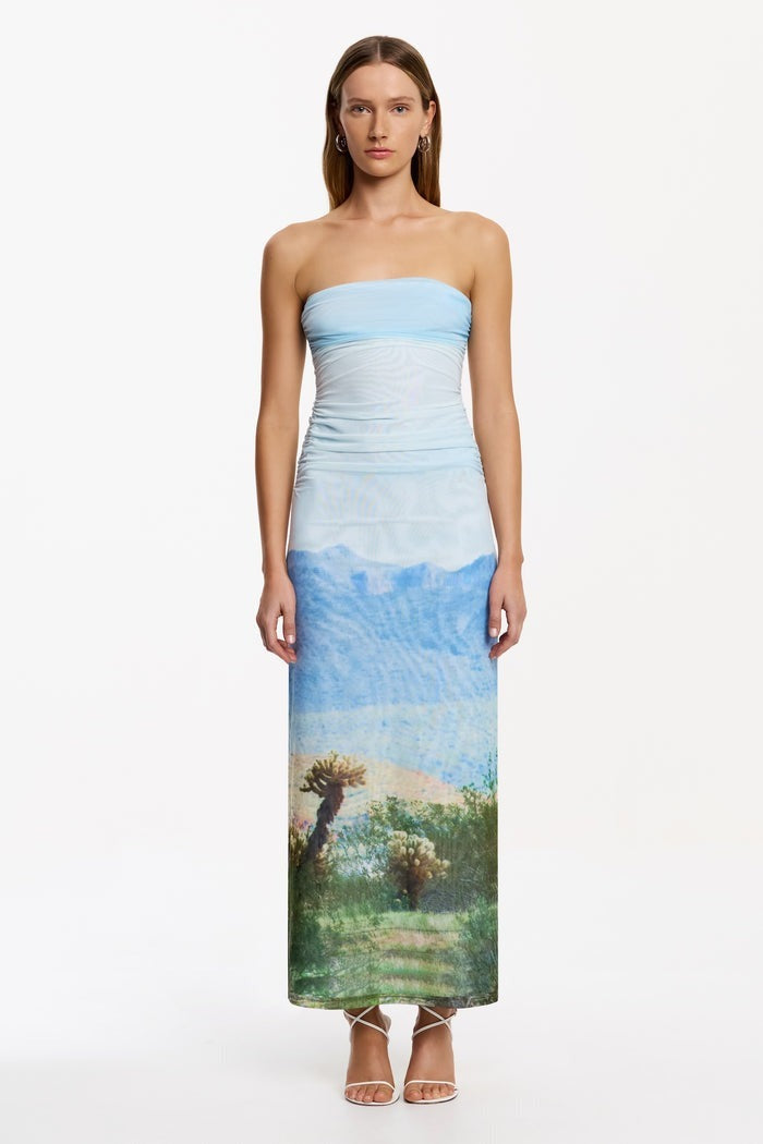 Different View Strapless Maxi Dress