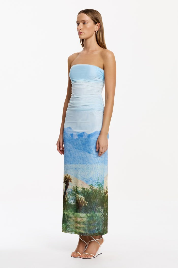 Different View Strapless Maxi Dress