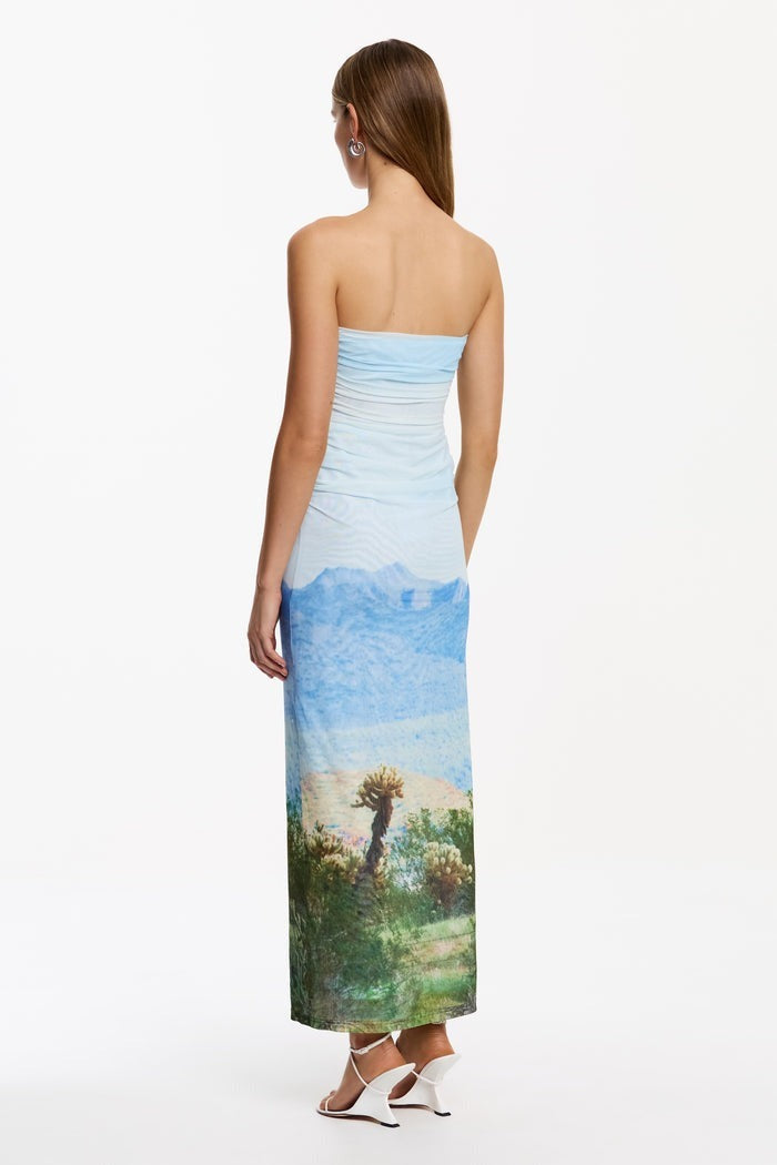 Different View Strapless Maxi Dress