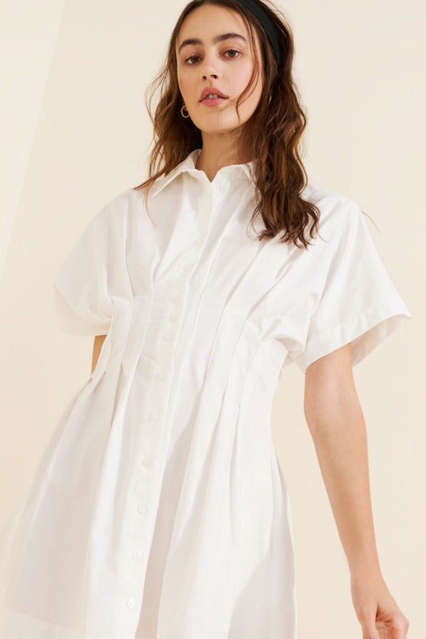 Button-Front Pleated Mini Shirtdress