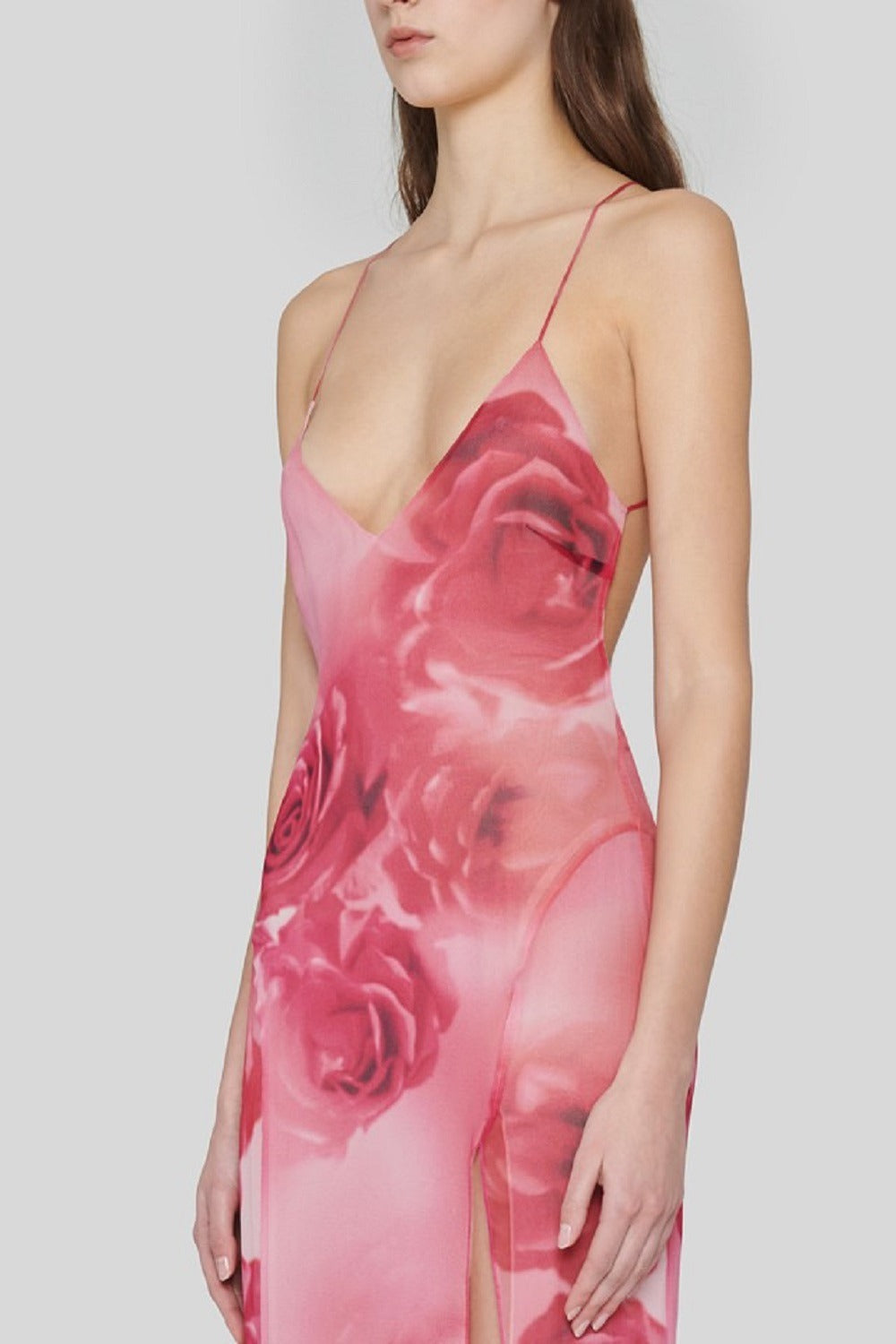 Rose Veil Floral Sheer Maxi Dress